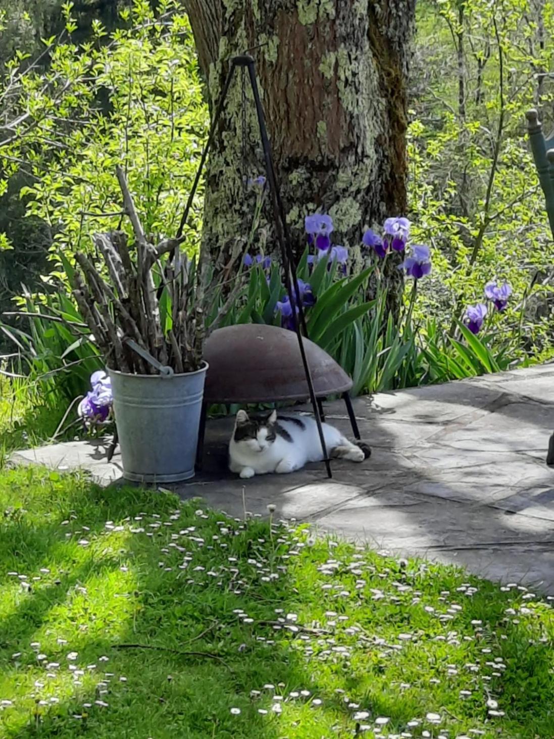 Bed and Breakfast Biert La Coume, Tweepersoonsbed Esterno foto